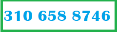 Telefono de Contacto